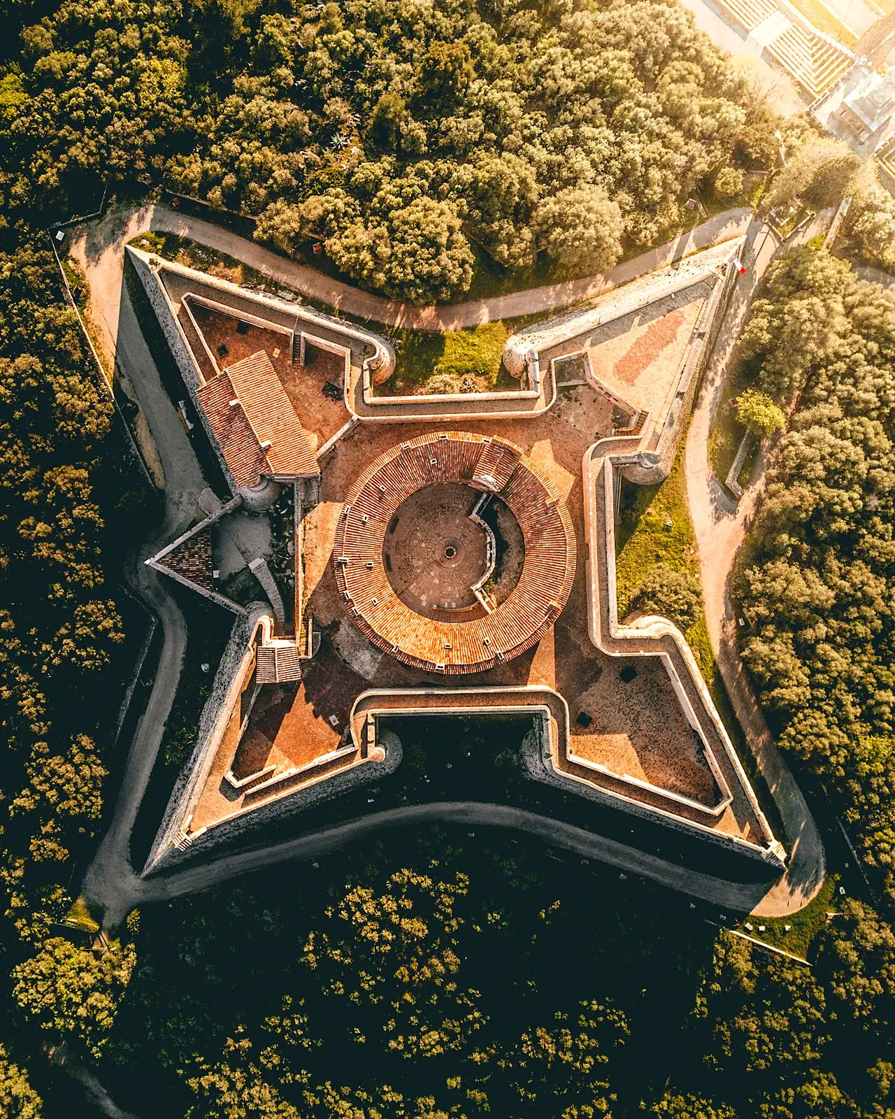 The Fort Carré of Antibes seen from directly above: a four-pointed star fort among the olive trees